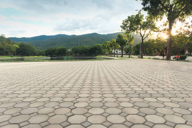 Best Affordable Driveway Pavers  in Watonga, OK